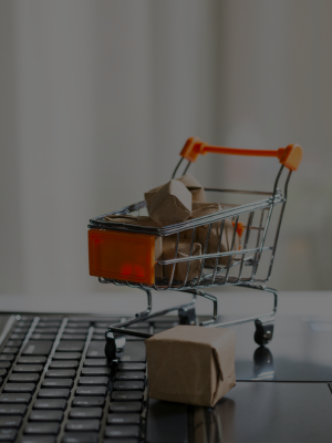 E-Commerce Development